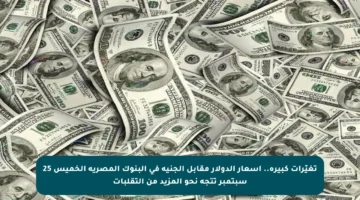 تغيّرات كبيرة.. أسعار الدولار مقابل الجنيه في البنوك المصرية الخميس 25 سبتمبر تتجه نحو المزيد من التقلبات
